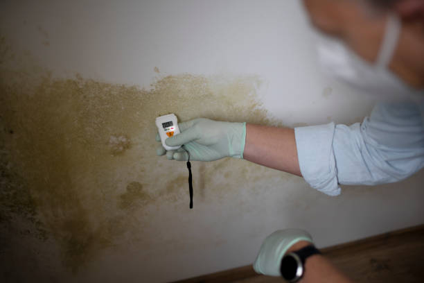 Best Biohazard Mold Removal  in Westover, AL